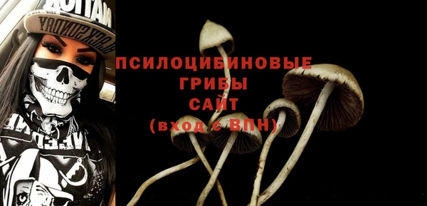 стафф Надым