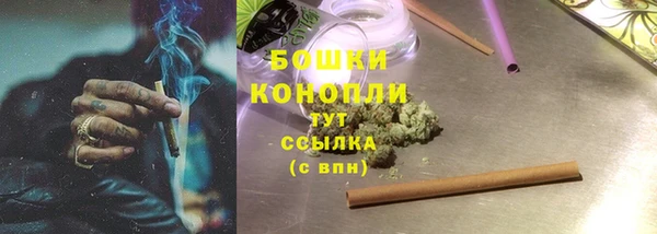 стафф Надым