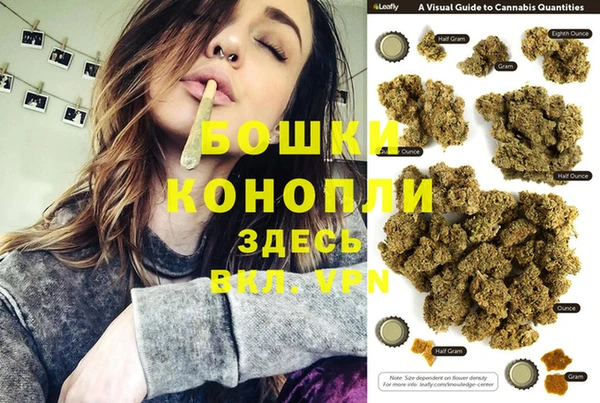 стафф Надым