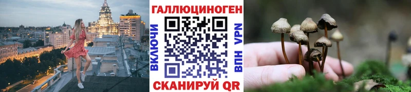 Псилоцибиновые грибы Psilocybe  Вологда 