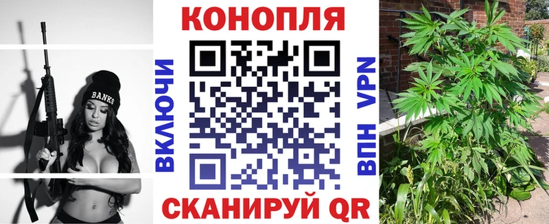 Бошки марихуана Amnesia  Вологда 